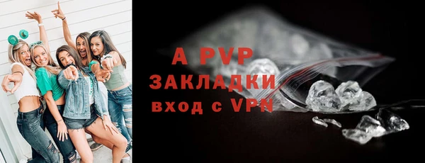 сатива Дедовск