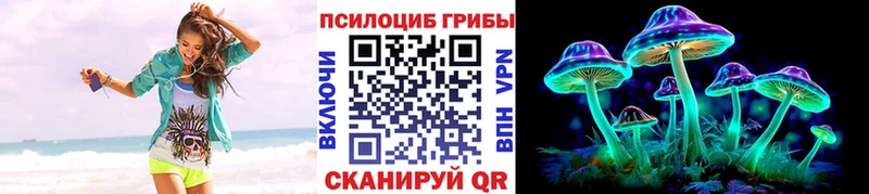 Галлюциногенные грибы Psilocybine cubensis  где продают   Осинники 