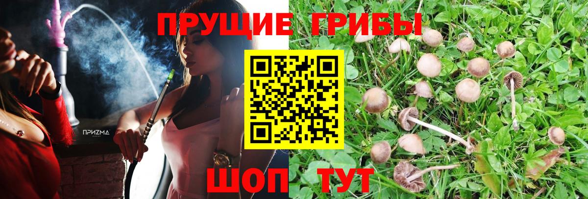 Псилоцибиновые грибы MAGIC MUSHROOMS  Псилоцибиновые грибы мицелий  Вход с VPN  Осинники 