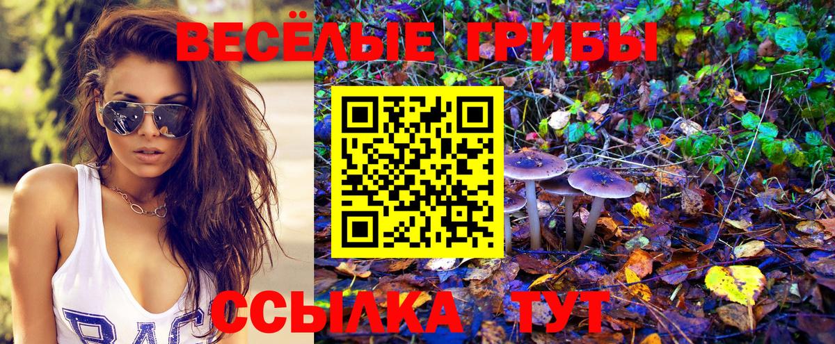 Псилоцибиновые грибы MAGIC MUSHROOMS Осинники