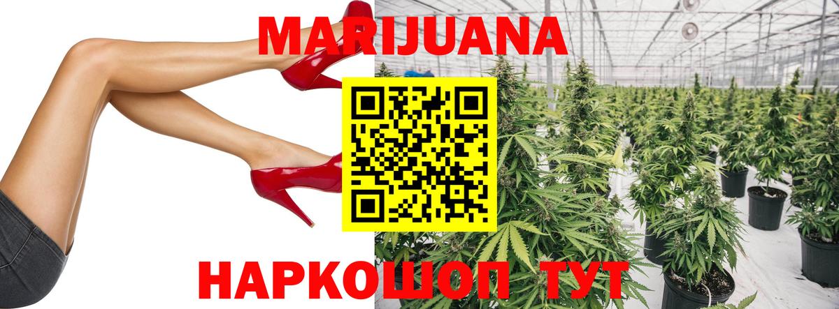 Конопля ГИДРОПОН  Вход с VPN  Конопля MAZAR  Осинники 